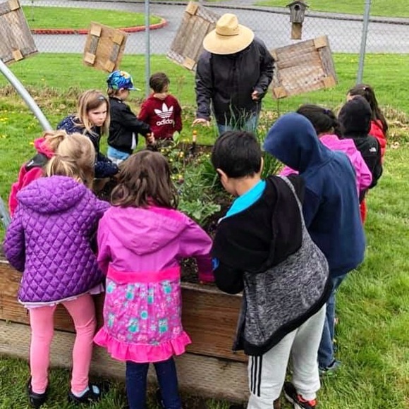 ✨LIVE ✨ - Picture 11 of 16